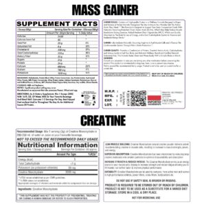 BH Mass Gainer Combo - 3kg Gainer & 100gm Creatine Free